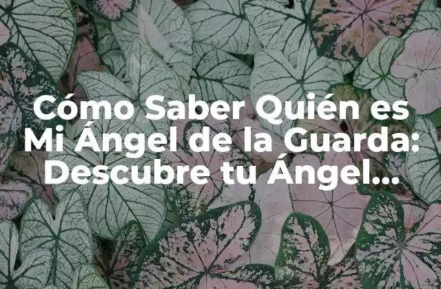 Cómo Saber Quién es Mi Ángel de la Guarda: Descubre Tu Ángel Protector