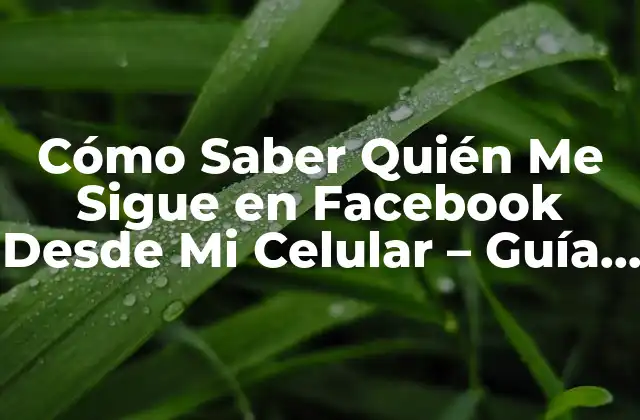 Cómo Saber Quién Me Sigue en Facebook desde Mi Celular – Guía Completa