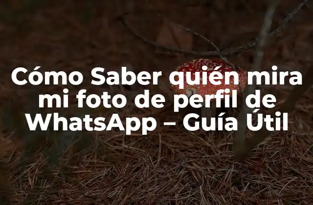 Cómo Saber Quién Mira Mi Foto de Perfil de Whatsapp – Guía Útil