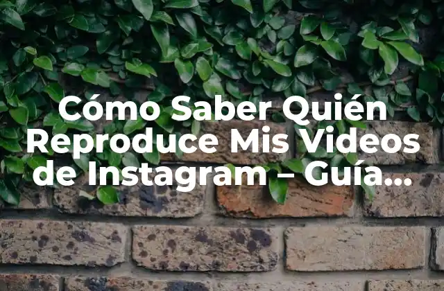 Cómo Saber Quién Reproduce Mis Videos de Instagram – Guía Completa