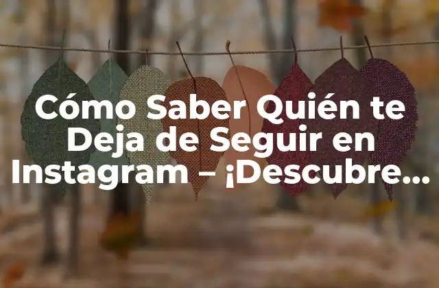 Cómo Saber Quién Te Deja de Seguir en Instagram – ¡descubre Ahora!