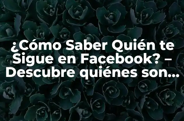¿cómo Saber Quién Te Sigue en Facebook? – Descubre Quiénes Son Tus Seguidores
