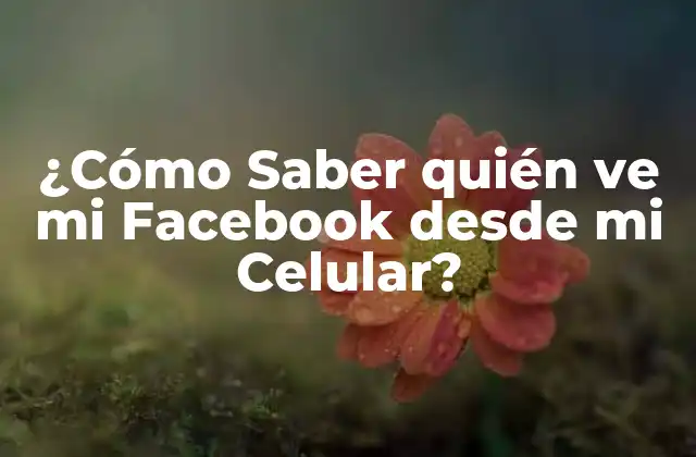 ¿cómo Saber Quién Ve Mi Facebook desde Mi Celular?