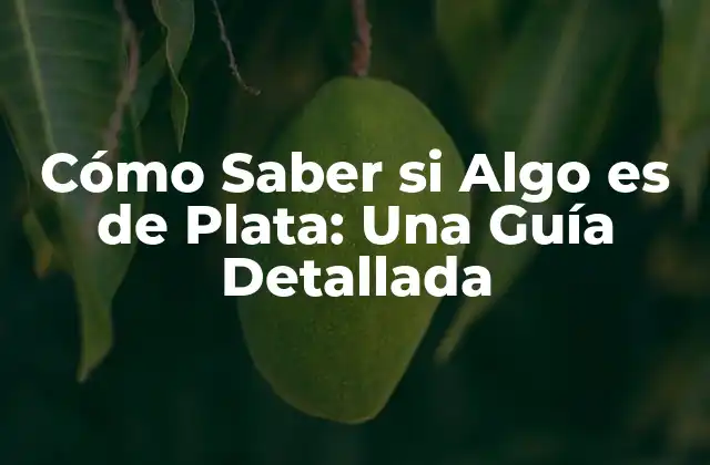 Cómo Saber Si Algo es de Plata: una Guía Detallada