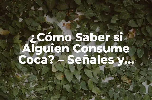 ¿cómo Saber Si Alguien Consume Coca? – Señales y Síntomas