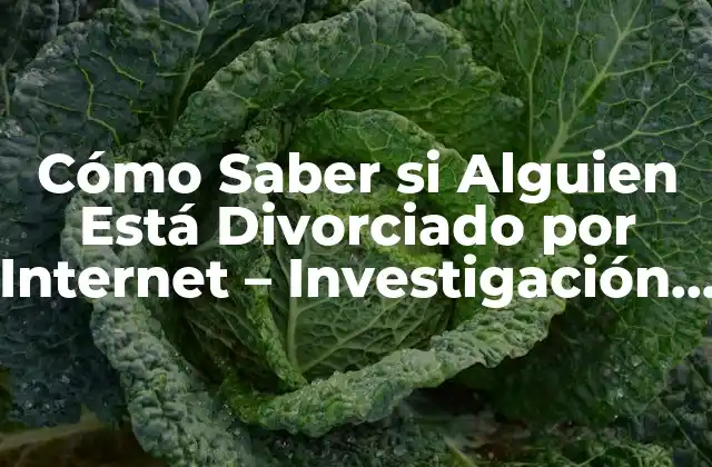 Cómo Saber Si Alguien Está Divorciado por Internet – Investigación y Verificación