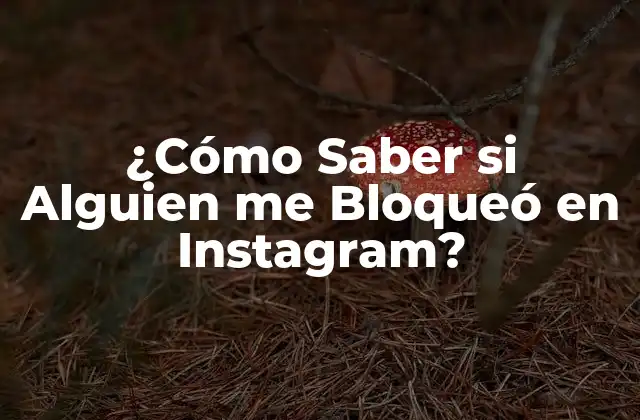 ¿cómo Saber Si Alguien Me Bloqueó en Instagram?