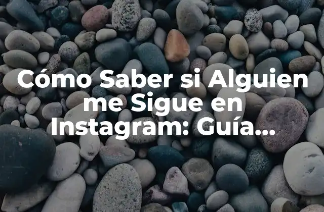 Cómo Saber Si Alguien Me Sigue en Instagram: Guía Completa
