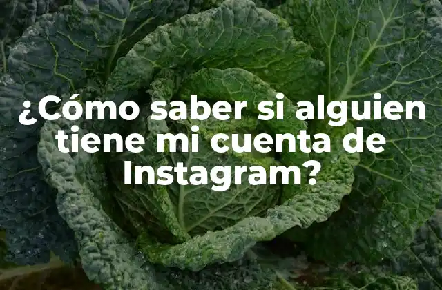¿cómo Saber Si Alguien Tiene Mi Cuenta de Instagram?