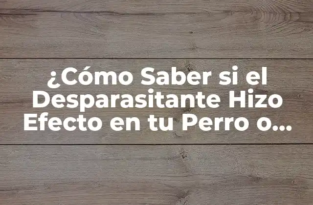 ¿cómo Saber Si el Desparasitante Hizo Efecto en Tu Perro o Gato?