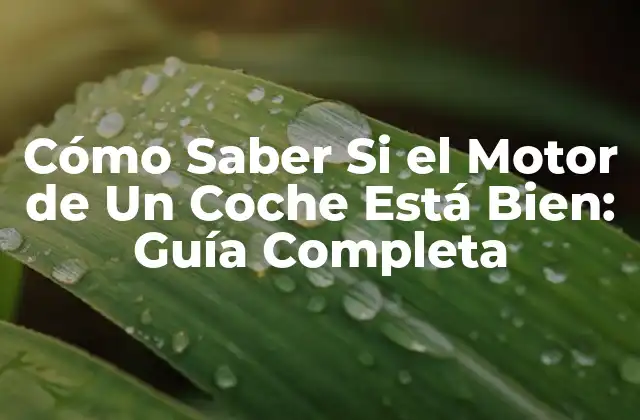 Cómo Saber Si el Motor de un Coche Está Bien: Guía Completa