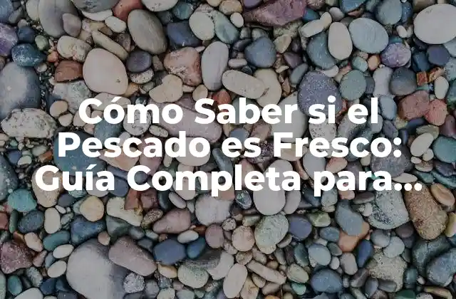 Cómo Saber Si el Pescado es Fresco: Guía Completa para Compradores Inteligentes
