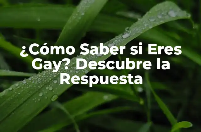 ¿cómo Saber Si Eres Gay? Descubre la Respuesta 2 ¿Qué es la Identidad Sexual?