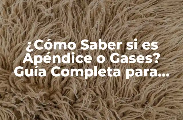 ¿cómo Saber Si es Apéndice o Gases? Guía Completa para Diferenciar