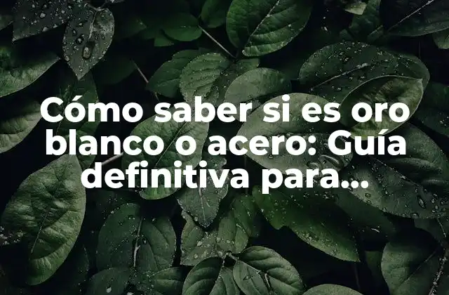 Cómo Saber Si es Oro Blanco o Acero: Guía Definitiva para Distinguirlos
