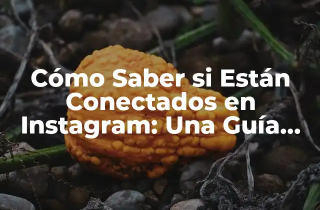 Cómo Saber Si Están Conectados en Instagram: una Guía Completa
