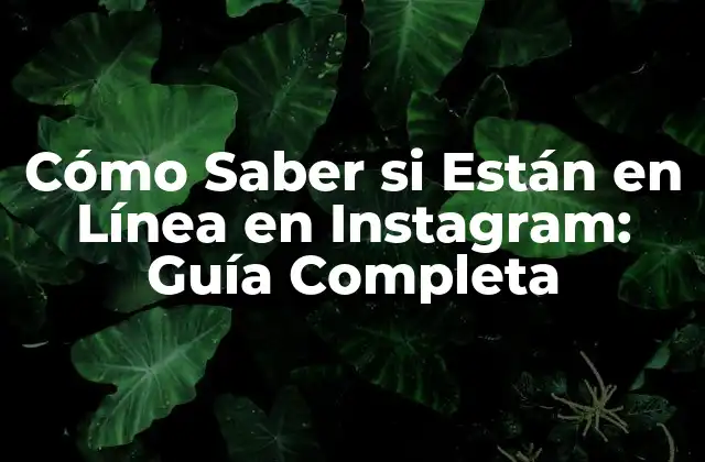 ¿Por Qué Queremos Saber si Están en Línea en Instagram?