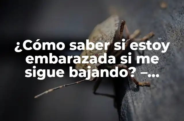 ¿cómo Saber Si Estoy Embarazada Si Me Sigue Bajando? – Síntomas de Embarazo y Descarga Vaginal