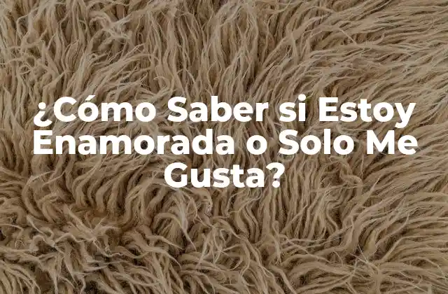 ¿cómo Saber Si Estoy Enamorada o Solo Me Gusta? 2 ¿Qué es el Amor, Realmente?