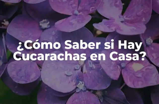 Signos Visibles de la Presencia de Cucarachas en Casa