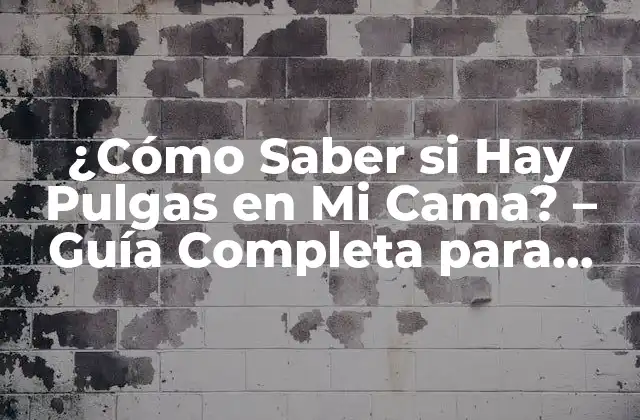 ¿cómo Saber Si Hay Pulgas en Mi Cama? – Guía Completa para Detectar y Eliminar Pulgas