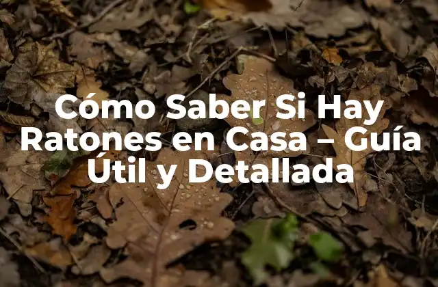 Cómo Saber Si Hay Ratones en Casa – Guía Útil y Detallada