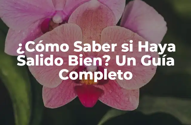 ¿cómo Saber Si Haya Salido Bien? un Guía Completo