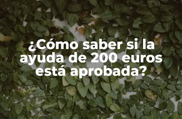 ¿cómo Saber Si la Ayuda de 200 Euros Está Aprobada?