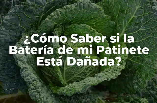 ¿cómo Saber Si la Batería de Mi Patinete Está Dañada?