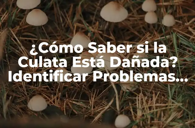 ¿cómo Saber Si la Culata Está Dañada? Identificar Problemas Comunes
