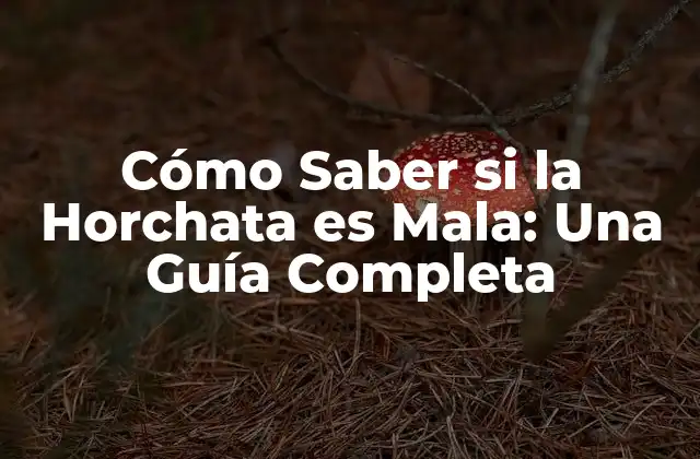 Cómo Saber Si la Horchata es Mala: una Guía Completa