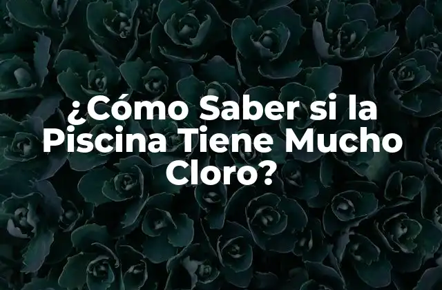 ¿cómo Saber Si la Piscina Tiene Mucho Cloro?
