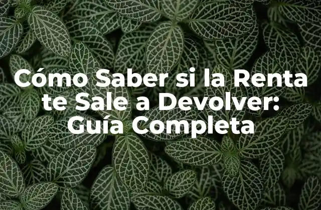 Cómo Saber Si la Renta Te Sale a Devolver: Guía Completa 2 ¿Qué es la Devolución de la Renta?