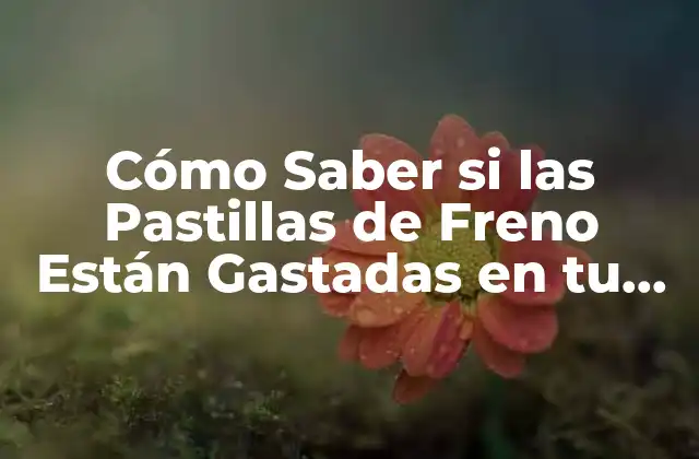 Cómo Saber Si las Pastillas de Freno Están Gastadas en Tu Moto