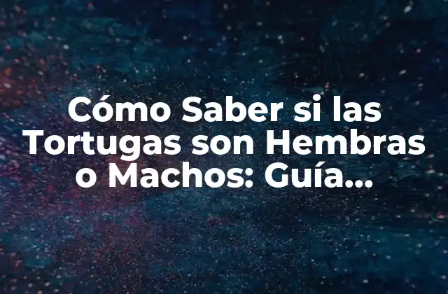 Cómo Saber Si las Tortugas Son Hembras o Machos: Guía Definitiva
