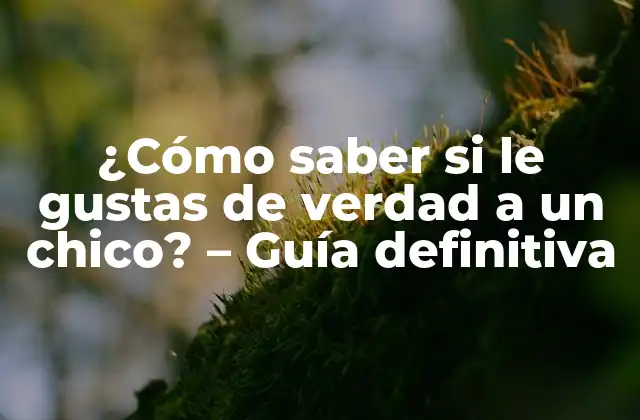 ¿cómo Saber Si Le Gustas de Verdad a un Chico? - Guía Definitiva 2 El lenguaje corporal: un indicador clave de interés