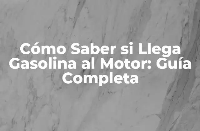 ¿Por qué es Importante que la Gasolina Llegue al Motor?