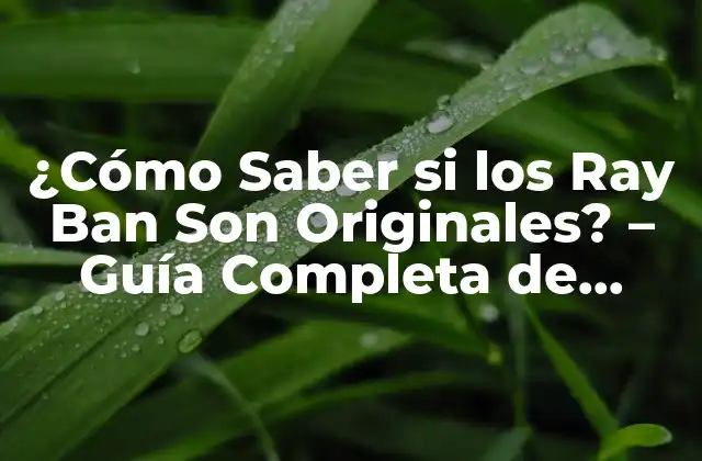 ¿cómo Saber Si los Ray Ban Son Originales? – Guía Completa de Autenticidad