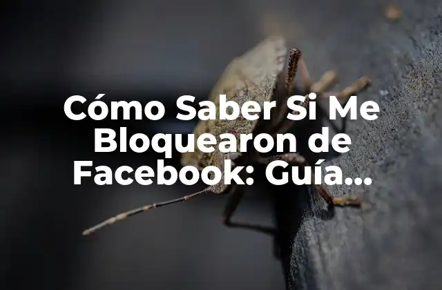 Cómo Saber Si Me Bloquearon de Facebook: Guía Detallada