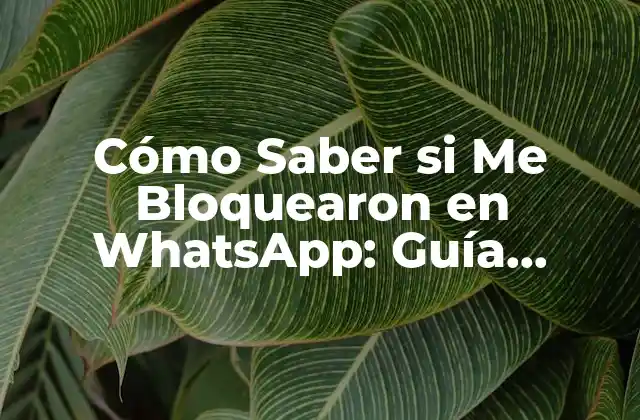 Cómo Saber Si Me Bloquearon en Whatsapp: Guía Definitiva