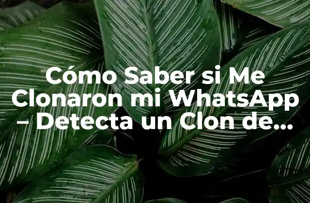 Cómo Saber Si Me Clonaron Mi Whatsapp – Detecta un Clon de Whatsapp