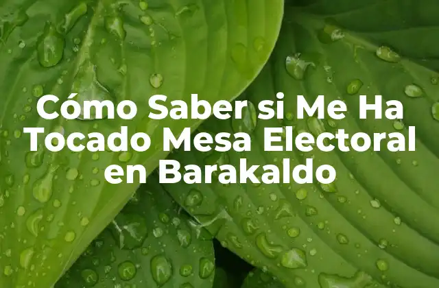Cómo Saber Si Me Ha Tocado Mesa Electoral en Barakaldo 2 ¿Qué es una Mesa Electoral?