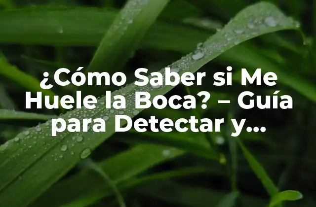 ¿cómo Saber Si Me Huele la Boca? – Guía para Detectar y Prevenir el Mal Aliento