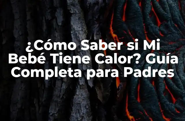 ¿cómo Saber Si Mi Bebé Tiene Calor? Guía Completa para Padres