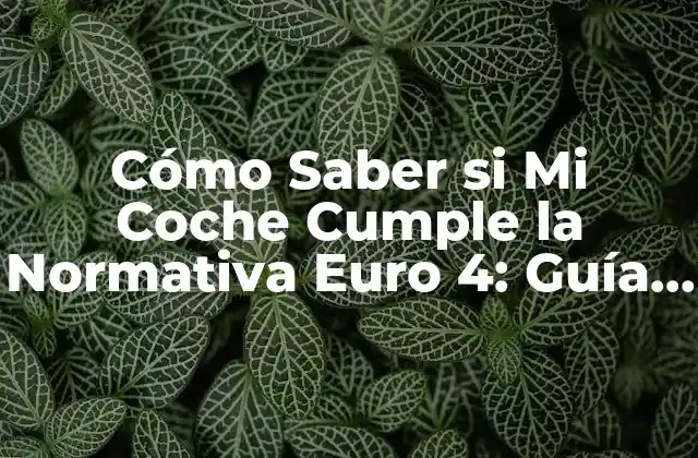 Cómo Saber Si Mi Coche Cumple la Normativa Euro 4: Guía Completa