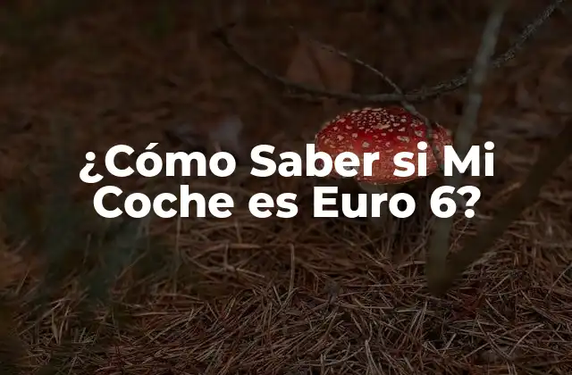 ¿cómo Saber Si Mi Coche es Euro 6?