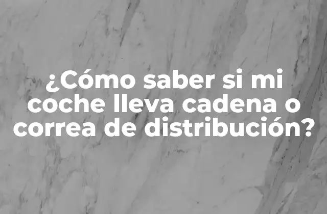¿cómo Saber Si Mi Coche Lleva Cadena o Correa de Distribución? 2 Funcionamiento de la cadena de distribución