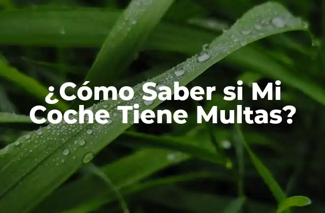 ¿cómo Saber Si Mi Coche Tiene Multas?