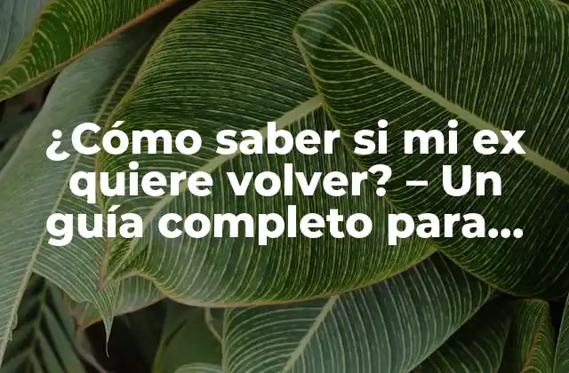 ¿cómo Saber Si Mi Ex Quiere Volver? – un Guía Completo para Descubrir Sus Intenciones
