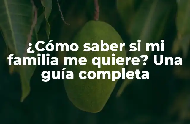 ¿cómo Saber Si Mi Familia Me Quiere? una Guía Completa